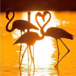 Meet your Posher, Lyn